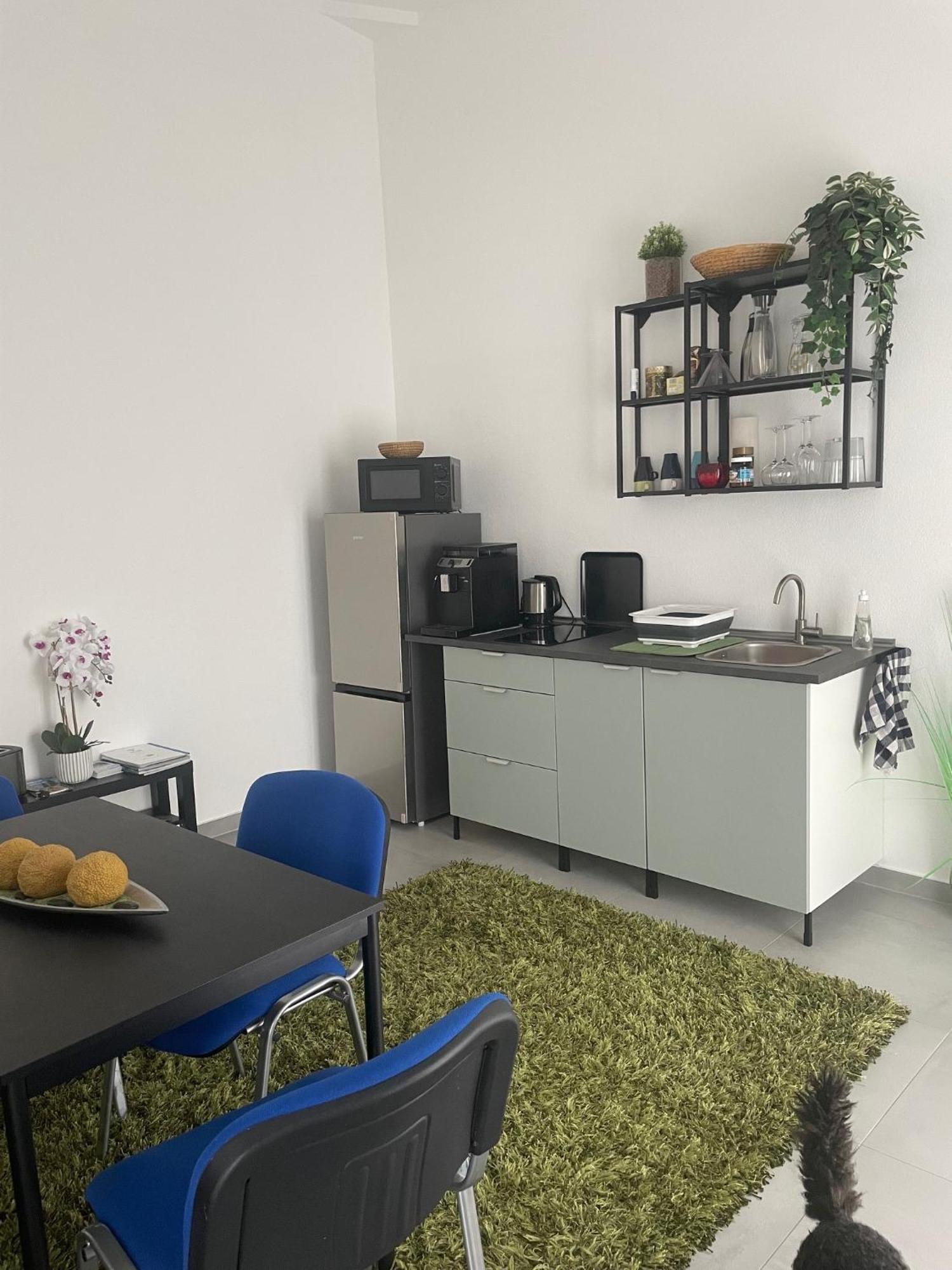 Feine Auszeit Apartment Gottmadingen Exterior foto